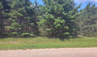 Lot 113 Beaver Lane, Arkdale, WI 54613