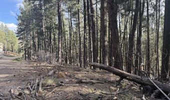 217 Pine Top Dr, Bayfield, CO 81137