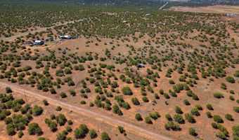 84 County Road N8149, Concho, AZ 85924