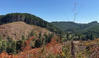Van Horn 140 Rd, Alsea, OR 97324