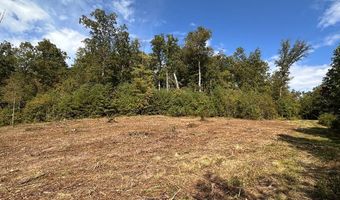 13 44 Ac Chestnut Ridge Rd, Allardt, TN 38504