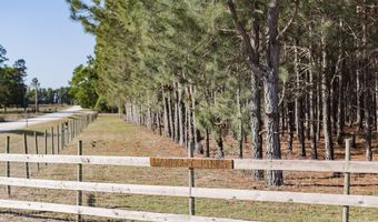 NW 41st Cir, Bell, FL 32619