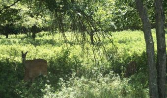 Chesapeake Trail, Albrightsville, PA 18210