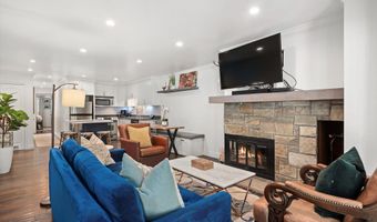 100 E Dean St 2D, Aspen, CO 81611