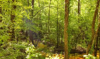 Beech Bluff Road, Beech Bluff, TN 38313