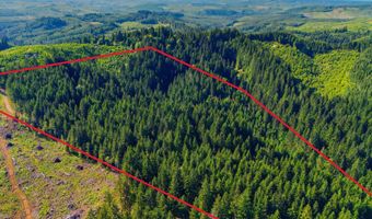 Tunnel Tract Parcel1, Banks, OR 97106