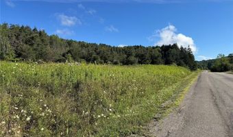 Lynch Road, Alfred, NY 14806