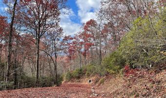 Ridge Trail Drive lot 24, Balsam Grove, NC 28708