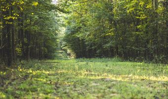 Bill Hubbard Rd, Braxton, MS 39044