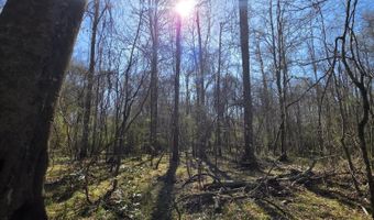 Bogue Chitto Road, Bogue Chitto, MS 39629