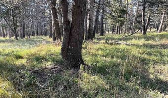 Lot 1319 Pleasant Valley Overlook, Angel Fire, NM 87710