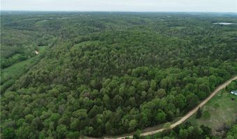 Twin Fork DR, Bergman, AR 72615