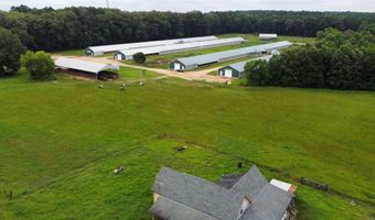 1613 N Bradley 8 Rd, Banks, AR 71631