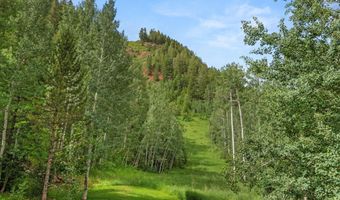 289 Exhibition Ln, Aspen, CO 81611