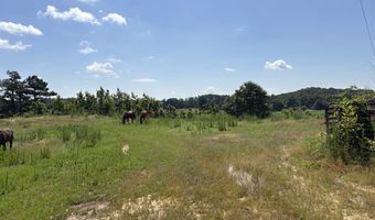 Beauty Hill Rd lot 2, Bethel Springs, TN 38315