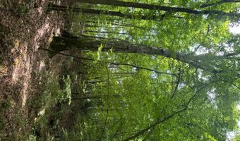 0 Cedar Ln, Alexander City, AL 35010