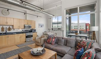 361 Robinson St 308, Basalt, CO 81621