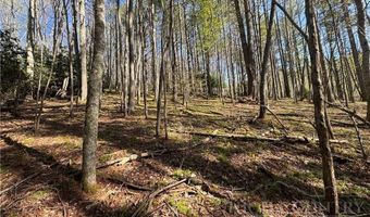 2438 Kellersville Rd, Banner Elk, NC 28604