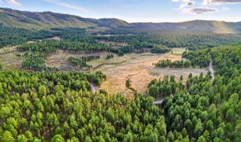 1 A FOREST ROAD 26, Alpine, AZ 85920