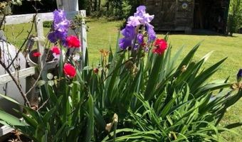 734 Grandview Dr, Altoona, AL 35952