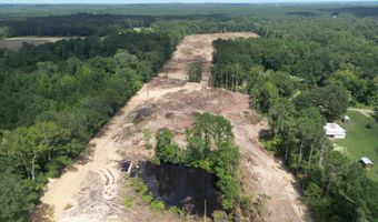 SE Cole Drive, Bogue Chitto, MS 39629