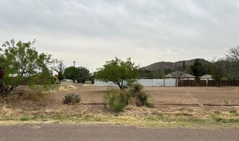 1508 N 6th St, Alpine, TX 79830