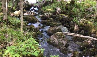 US-1 lot 10, Baring Plt, ME 04694