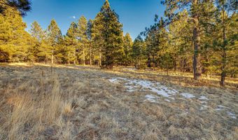 66 Mora Ranch Rd, Angel Fire, NM 87710