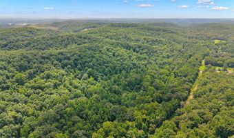 Brewer Hill, Batesville, AR 72501