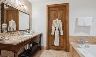 415 E Dean St Unit 36 Week 33, Aspen, CO 81611