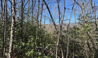 000 Holland Farm Rd, Andrews, NC 28901