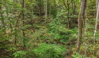 19 Woodchuck Cove Way, Alexander, NC 28701