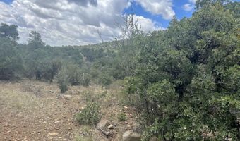 415 XYZ, Arenas Valley, NM 88022