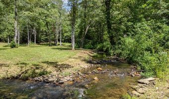 Chestnut Flats Road, Andrews, NC 28901