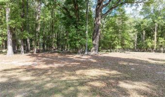 159 SW 70TH Ave, Bell, FL 32619
