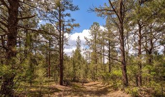23490 Spirit Mountain Pl, Aguilar, CO 81082