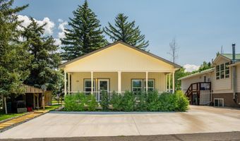 29 Bear Trl, Aspen, CO 81611