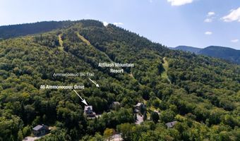 46 Ammonoosuc Dr, Bartlett, NH 03812
