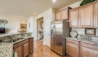 16282 Red Mountain Way, Broomfield, CO 80023