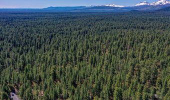 13461 Hawks Beard SH43, Black Butte Ranch, OR 97759