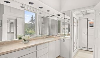 209 Larkspur Ln, Aspen, CO 81611