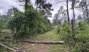 167 E W Morgan, Arcadia, LA 71001