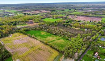 Beaver Road, Alexander, NY 14005