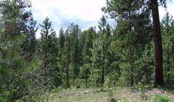 28 Rehn Loop Lot 2, Cascade, ID 83611
