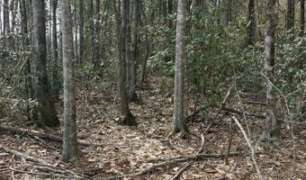 0 Graves Keys Rd, Bassfield, MS 39421