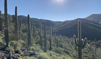 42000 N Fleming Springs Rd P, Cave Creek, AZ 85331