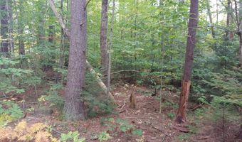 Lot 72 Holmes Road, Barnstead, NH 03225