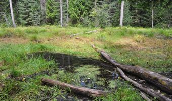 Nna 196 Acres Hwy 95, Bonners Ferry, ID 83805