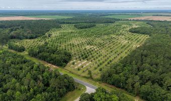 9953 Gravel Hl, Baconton, GA 31716