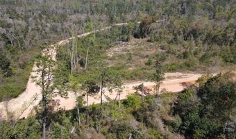 Powder Circle, Alford, FL 32420
